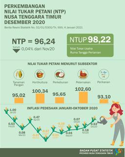 Nilai Tukar Petani (NTP) Desember 2020 Sebesar 96,24