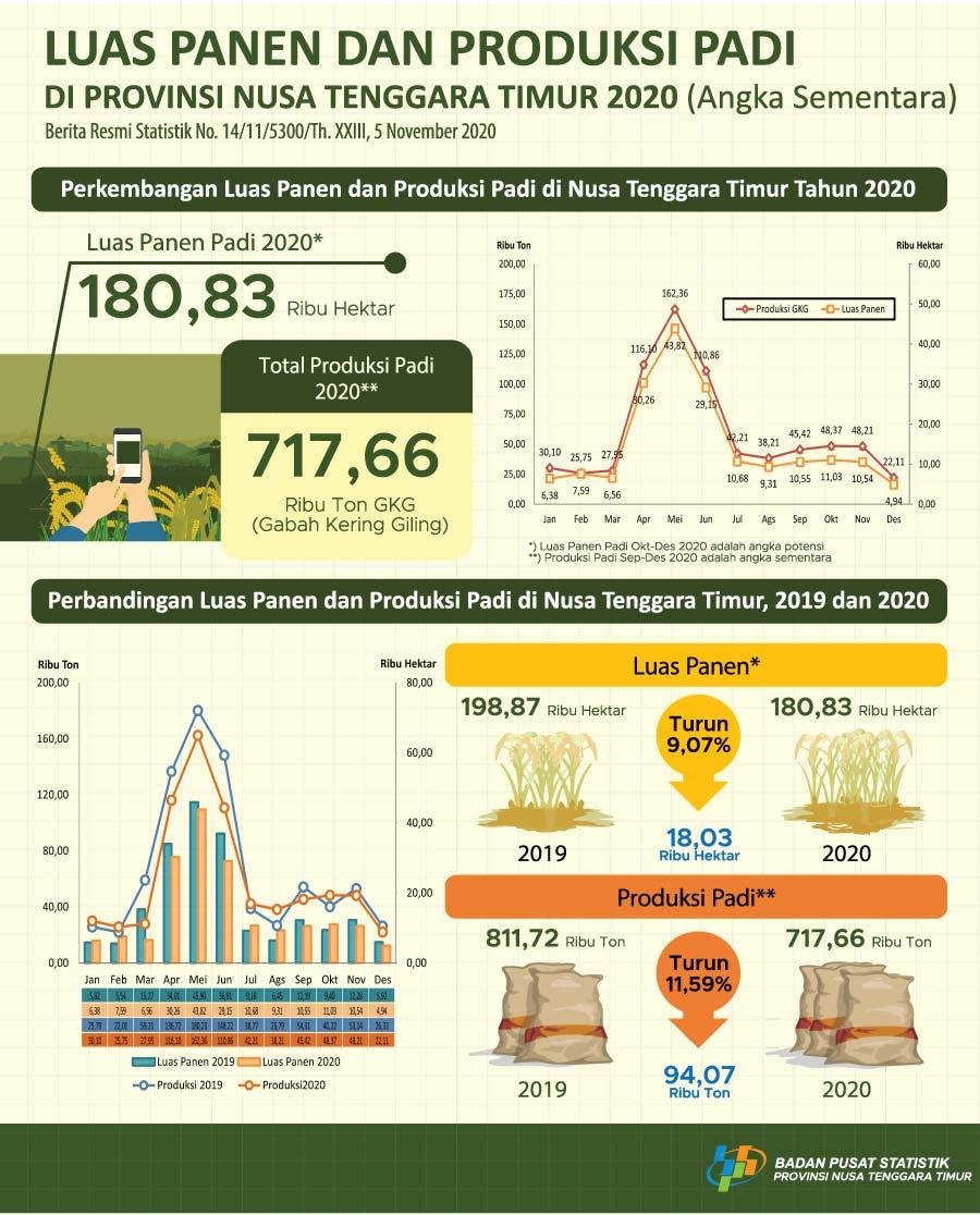 Pada 2020, luas panen padi diperkirakan sebesar 180,83 ribu hektar dengan produksi sebesar 717,66 ribu ton GKG