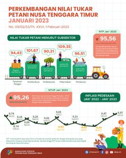 Januari 2023 Nilai Tukar Petani (NTP) Sebesar 95,56 Turun 0,05 Persen Jika Dibandingkan Dengan Desember 2022