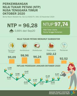 Nilai Tukar Petani (NTP) Oktober 2020 Sebesar 96,28