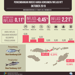 Oktober 2019 Nusa Tenggara Timur Inflasi 0,11 Persen