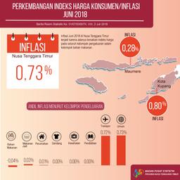 Juni 2018 Nusa Tenggara Timur Inflasi 0,73 Persen.