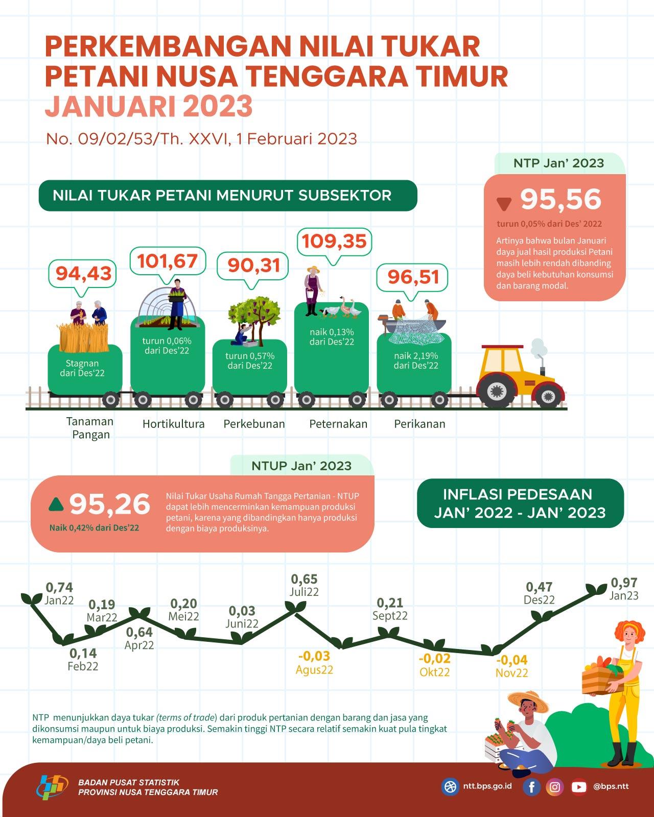 Januari 2023 Nilai Tukar Petani (NTP) sebesar 95,56 turun 0,05 persen jika dibandingkan dengan Desember 2022