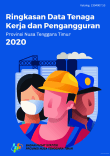 Ringkasan Data Tenaga Kerja dan Pengangguran Provinsi Nusa Tenggara Timur 2020