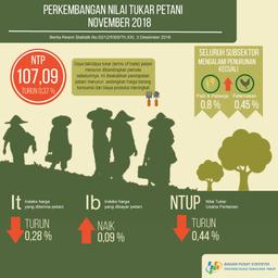 Nilai Tukar Petani (NTP) November 2018 Sebesar 107,09