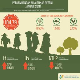 Nilai Tukar Petani (NTP) Januari 2018 Sebesar 104,79