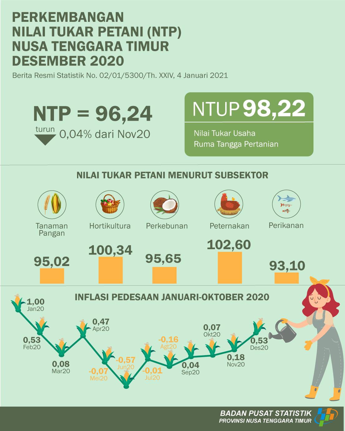 Nilai Tukar Petani (NTP) Desember 2020 sebesar 96,24