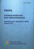 Profile Of Employment And Unemployment In Nusa Tenggara Timur Province 2016