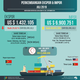 Export And Import Of NTT On July 2019