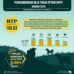 Nilai Tukar Petani (NTP) Januari 2019 Sebesar 106.63