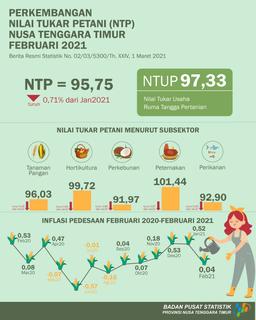 In February, The Nusa Tenggara Timurs Farmer Exchange Rate Was 95,75