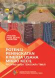 Analisis Hasil SE2016 Lanjutan Potensi Peningkatan Kinerja Usaha Mikro Kecil Provinsi Nusa Tenggara Timur